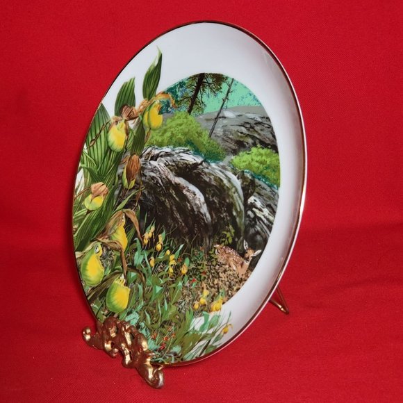 VTG Decorative Plate Royal Windsor Lady Slipper Orchid Wildflowers of the South - Picture 7 of 12